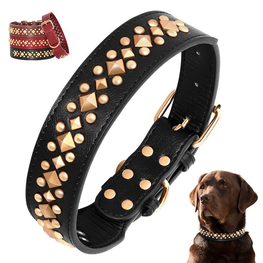 Collier pour chien - Bonheur a Mon Chien
