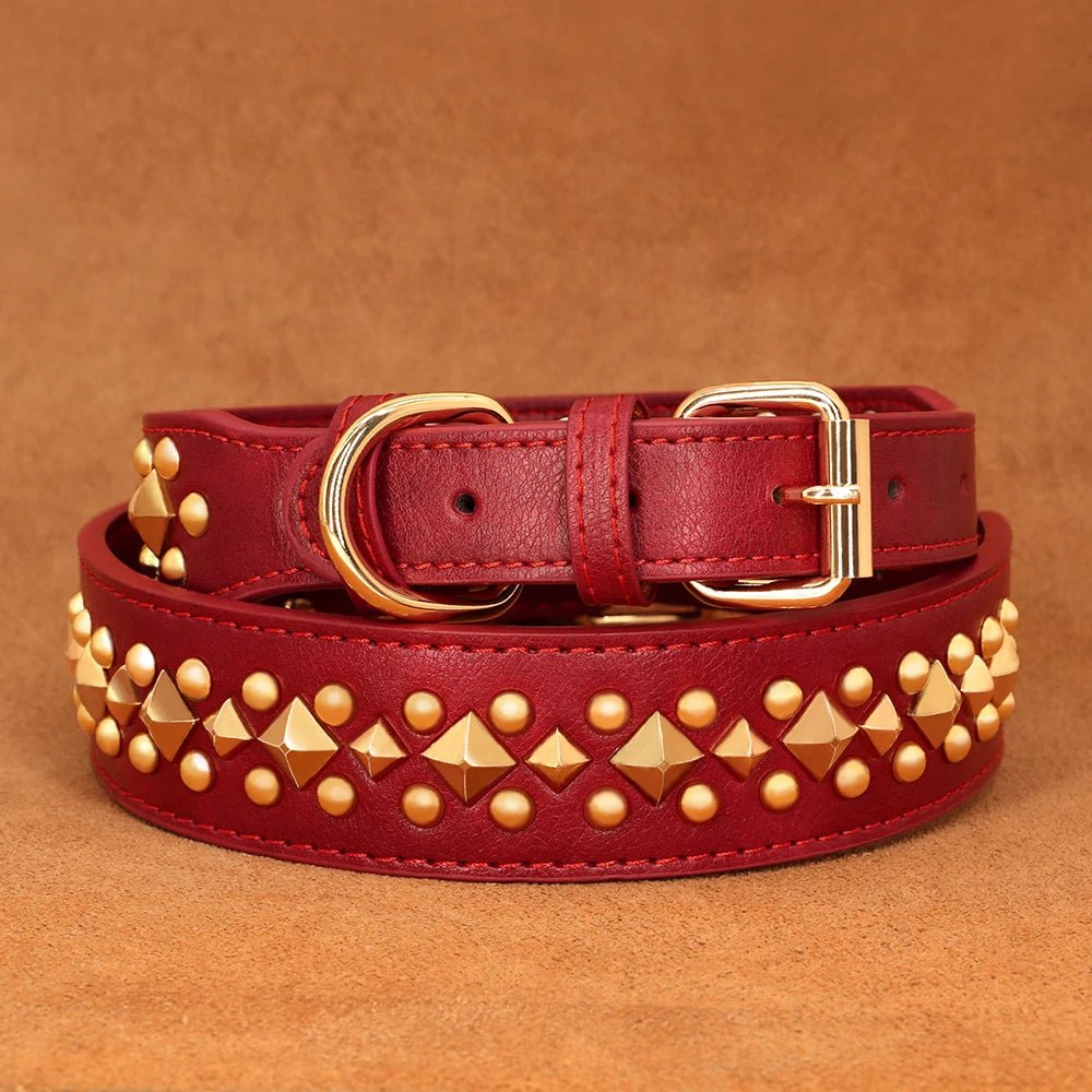 Collier pour chien - Bonheur a Mon Chien