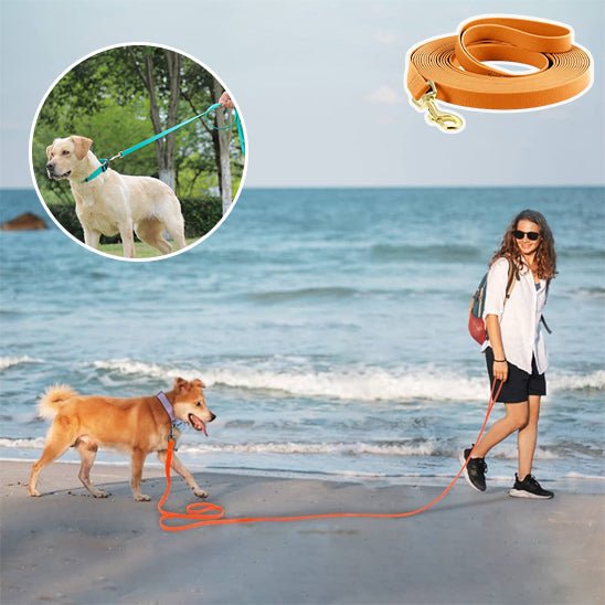 Laisse pour chien - Bonheur a Mon Chien