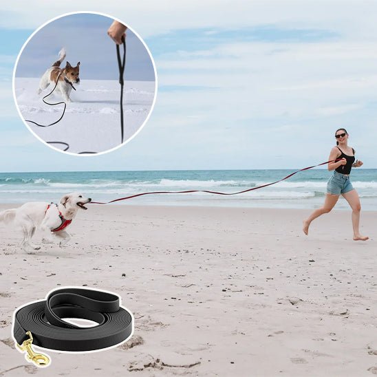 Laisse pour chien - Bonheur a Mon Chien