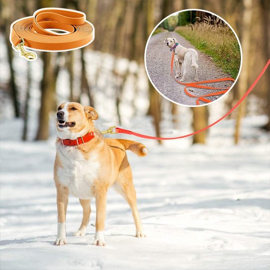 Laisse pour chien - Bonheur a Mon Chien