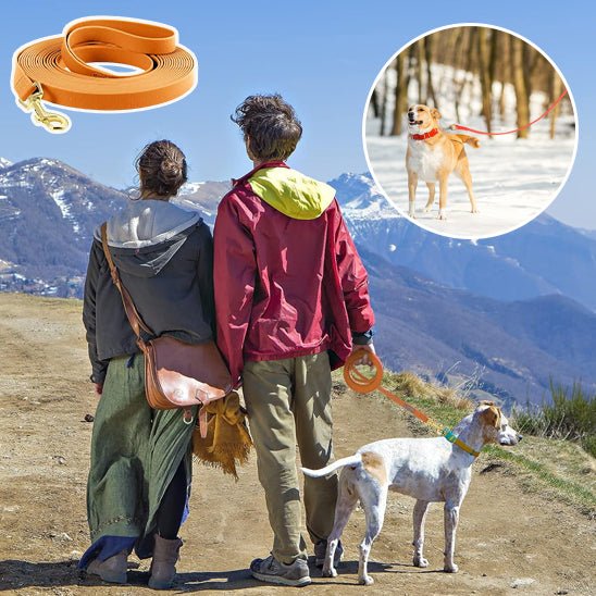 Laisse pour chien - Bonheur a Mon Chien