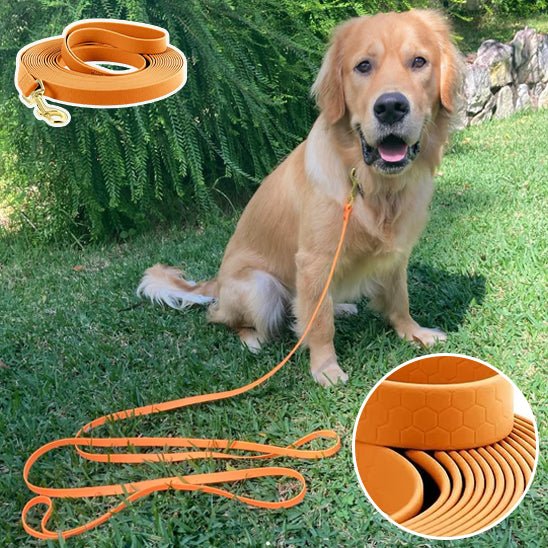 Laisse pour chien - Bonheur a Mon Chien