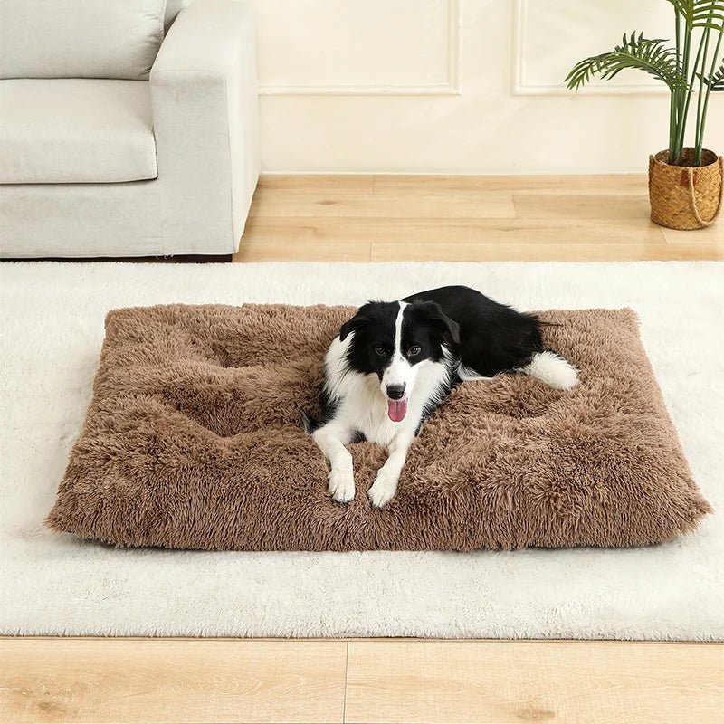 Coussin pour chien - Bonheur a Mon Chien