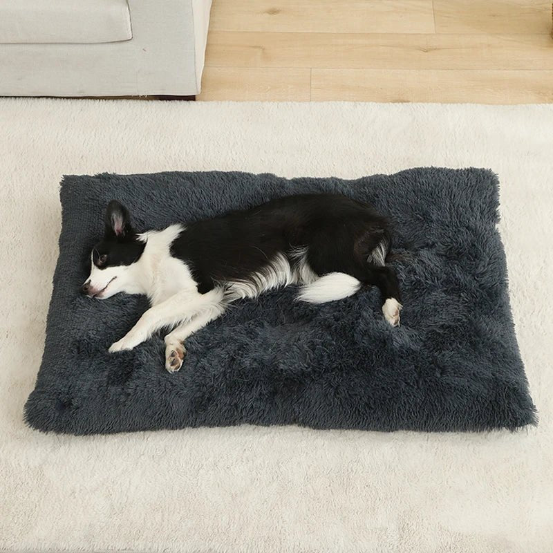Coussin pour chien - Bonheur a Mon Chien