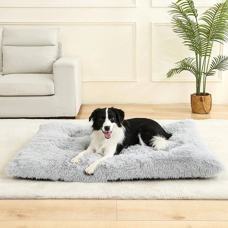 Coussin pour chien - Bonheur a Mon Chien