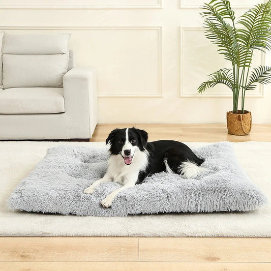 Coussin pour chien - Bonheur a Mon Chien