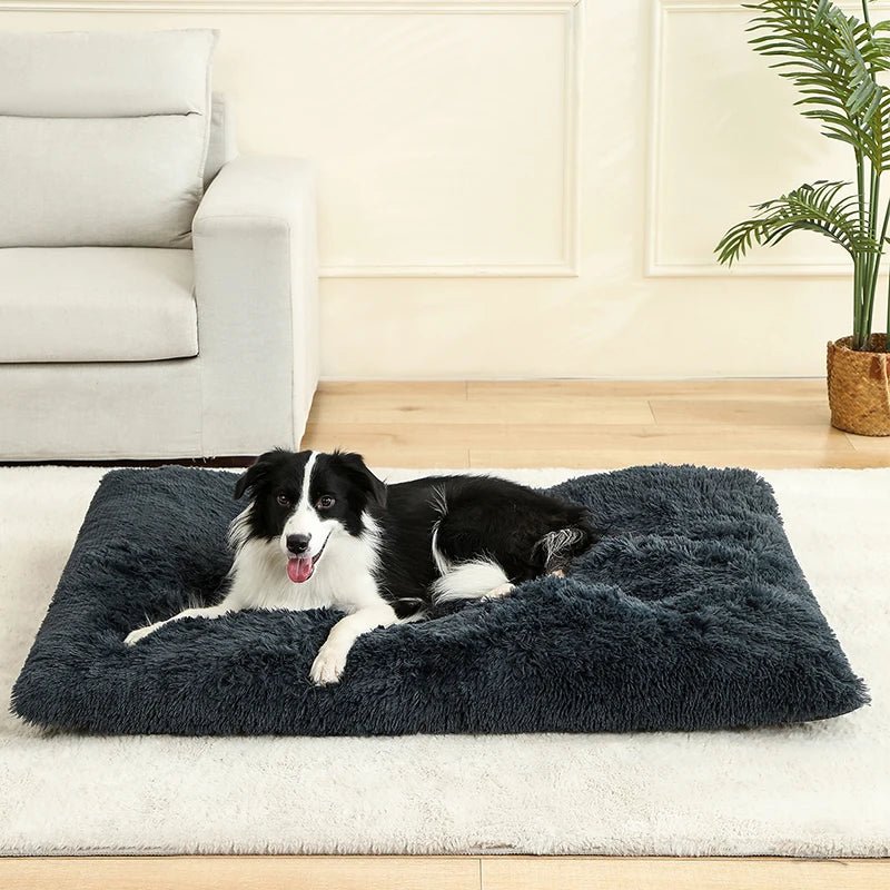Coussin pour chien - Bonheur a Mon Chien