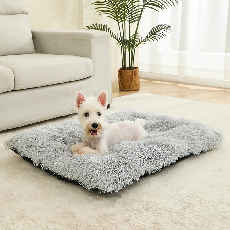 Coussin pour chien - Bonheur a Mon Chien